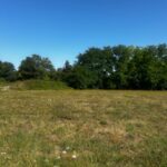 Maison à construire à Pineuilh (33220)