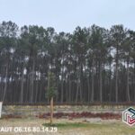 Terrain à bâtir à Vielle-Saint-Girons (40560)