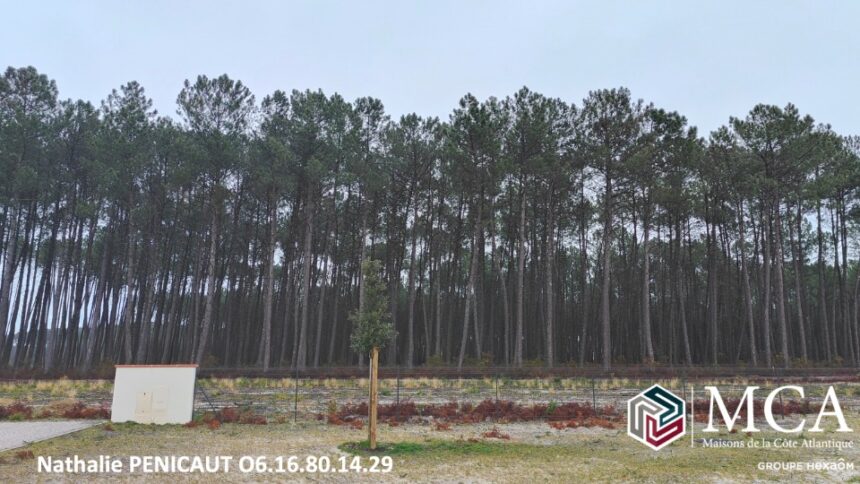 Terrain à bâtir à Vielle-Saint-Girons (40560)