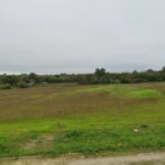 Maison à construire à Cérons (33720)