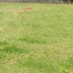 Maison à construire à Mérignac (33700)