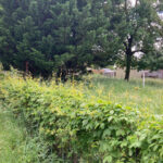 Maison à construire à Chaniers (17610)