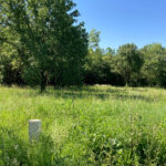 Terrain à bâtir à Saint-Vaize (17100)