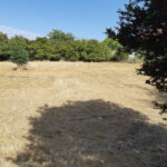 Terrain à bâtir à Matha (17160)