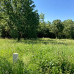 Terrain à bâtir à Saint-Vaize (17100)