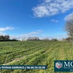 Terrain à bâtir à Pomarez (40360)