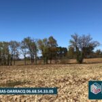 Maison à construire à Momuy (40700)