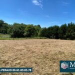 Maison à construire à Sames (64520)