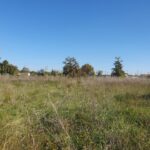 Maison à construire à Civrac-de-Blaye (33920)
