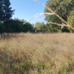 Maison à construire à Cézac (33620)