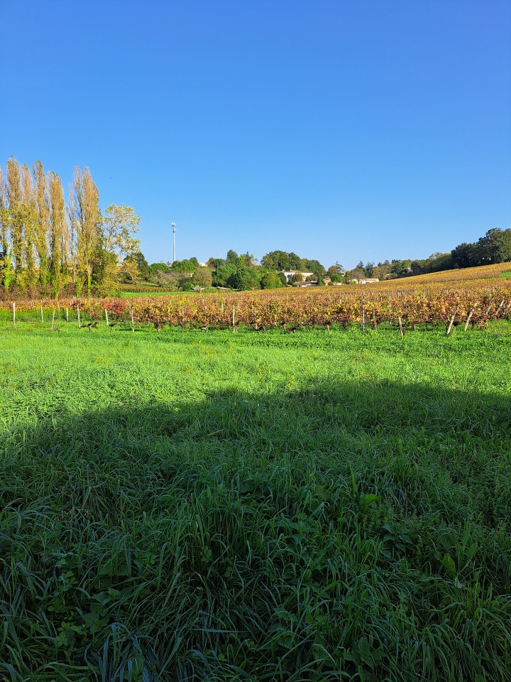 Terrain à bâtir à Lugon-et-l’Île-du-Carnay (33240)