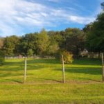 Terrain à bâtir à Salignac (33240)