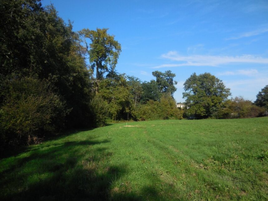 Terrain à bâtir à Cérons (33720)