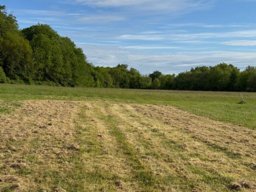 Maison à construire à Saint-Germain-d’Esteuil (33340)