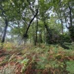 Terrain à bâtir à Grayan-et-l’Hôpital (33590)