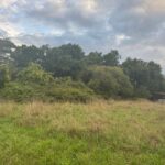 Terrain à bâtir à Vendays-Montalivet (33930)