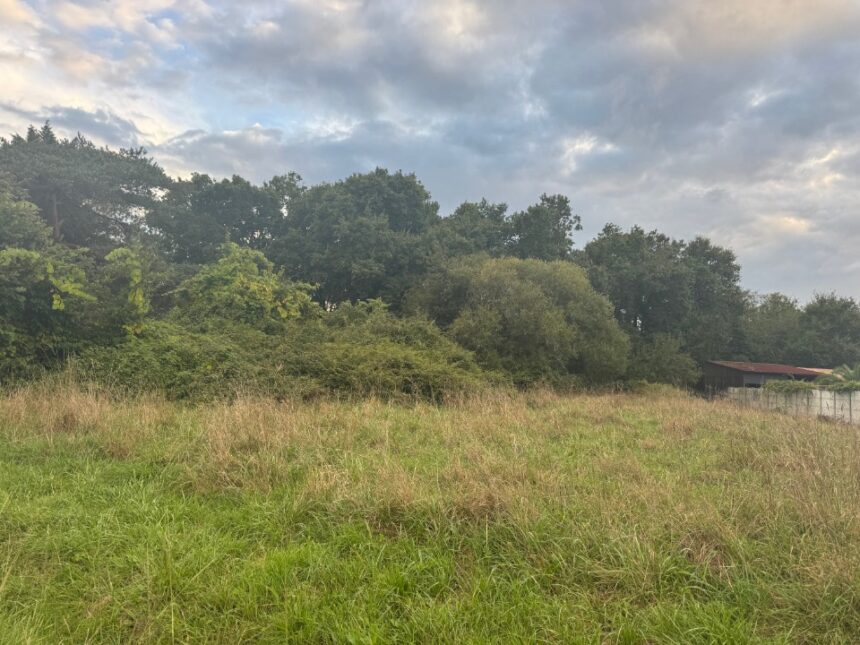 Terrain à bâtir à Vendays-Montalivet (33930)