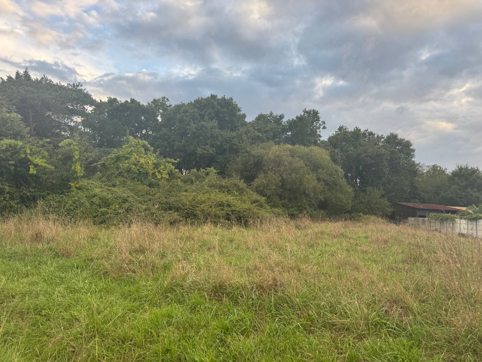 Terrain à bâtir à Vendays-Montalivet (33930)