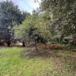 Terrain à bâtir à Vendays-Montalivet (33930)