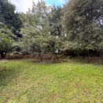 Terrain à bâtir à Vendays-Montalivet (33930)