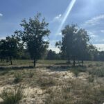 Terrain à bâtir à Vensac (33590)