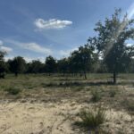 Maison à construire à Vensac (33590)