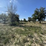 Maison à construire à Vensac (33590)