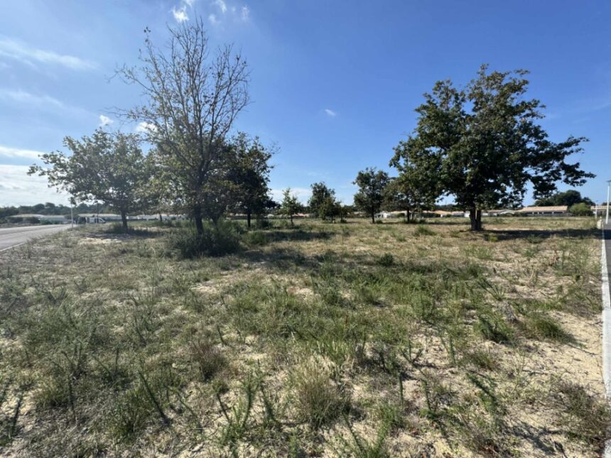 Terrain à bâtir à Vensac (33590)