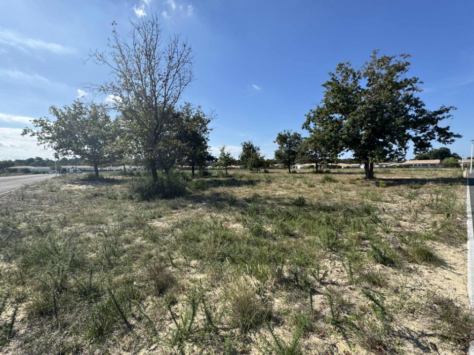 Terrain à bâtir à Vensac (33590)