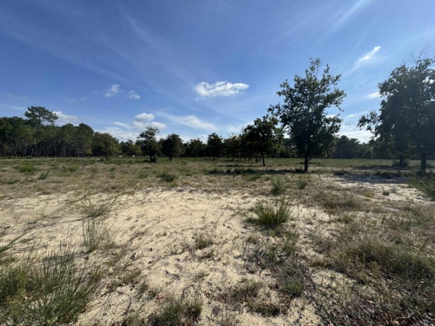 Terrain à bâtir à Vensac (33590)