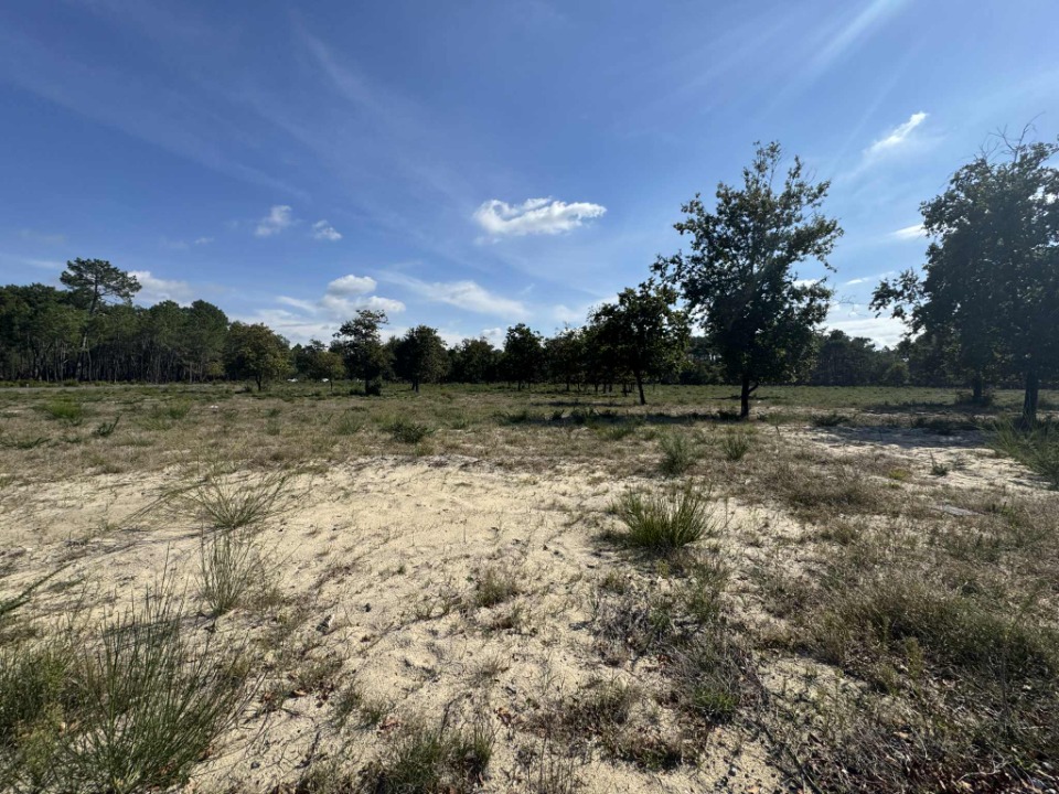 Terrain à bâtir à Vensac (33590)