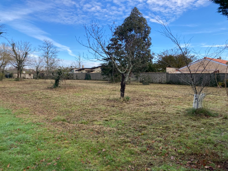 Terrain à bâtir à Saint-Vivien-de-Médoc (33590)