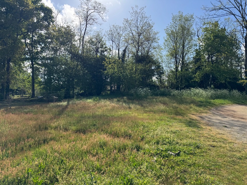 Terrain à bâtir à Lesparre-Médoc (33340)