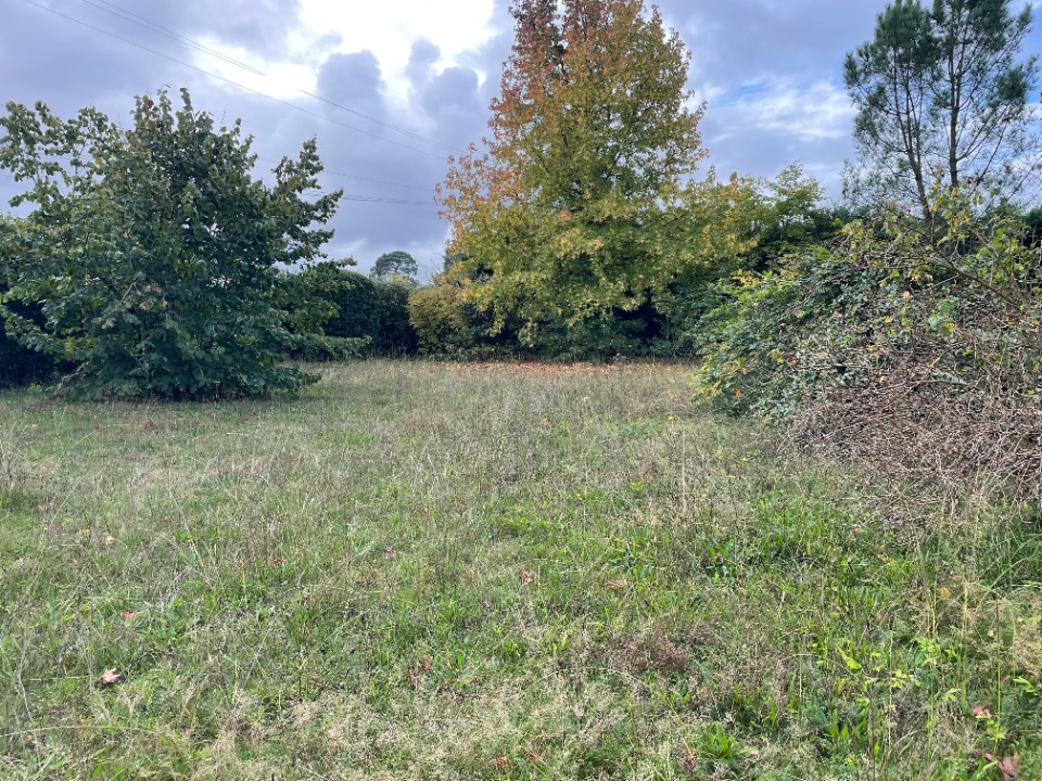 Terrain à bâtir à Léognan (33850)