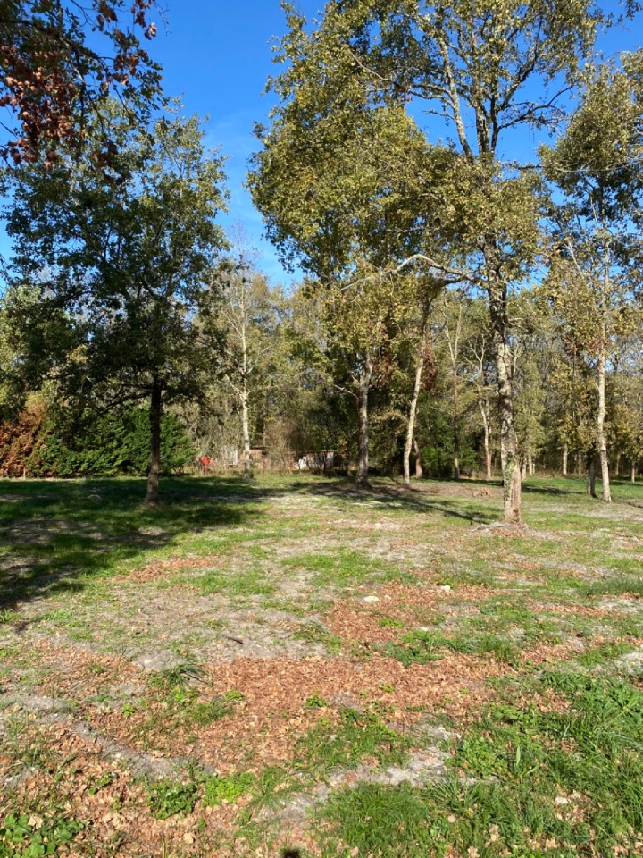 Terrain à bâtir à Le Taillan-Médoc (33320)