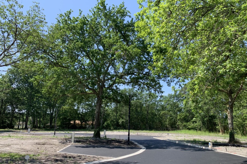 Terrain à bâtir à Saint-Aubin-de-Médoc (33160)