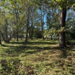 Maison à construire à Vensac (33590)