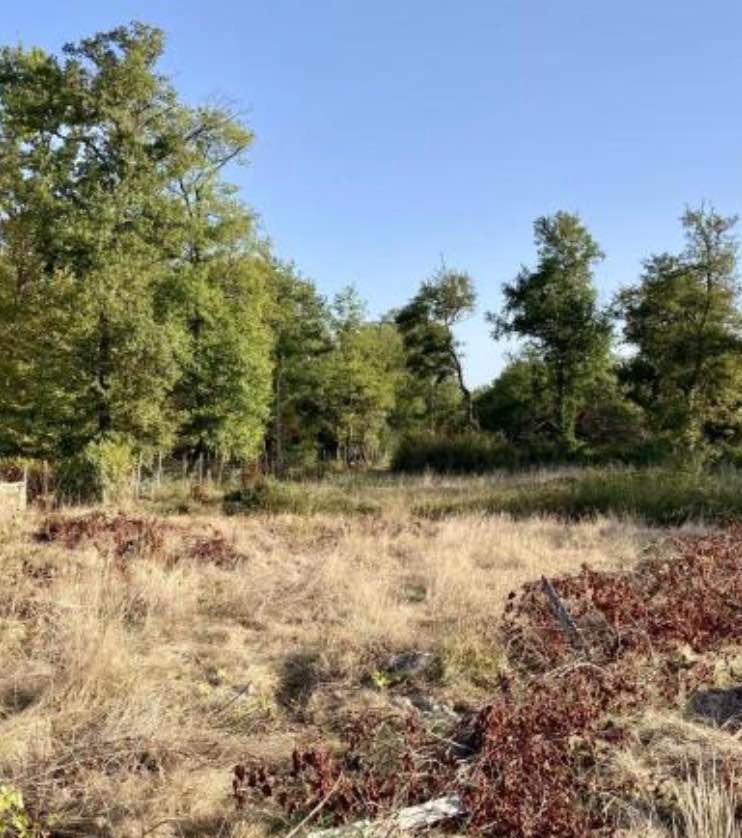 Terrain à bâtir à Saint-Genès-de-Lombaud (33670)