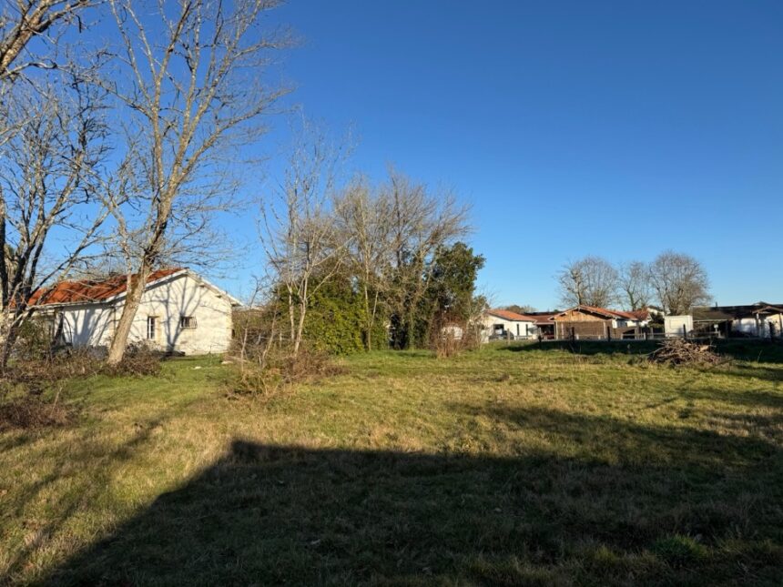 Terrain à bâtir à Cérons (33720)