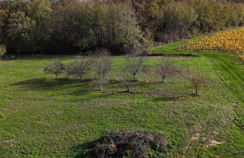 Terrain à bâtir à Saint-Michel-de-Rieufret (33720)