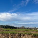 Maison à construire à Cocumont (47250)