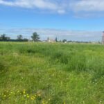 Maison à construire à Gontaud-de-Nogaret (47400)