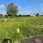 Terrain à bâtir à Sainte-Colombe-en-Bruilhois (47310)