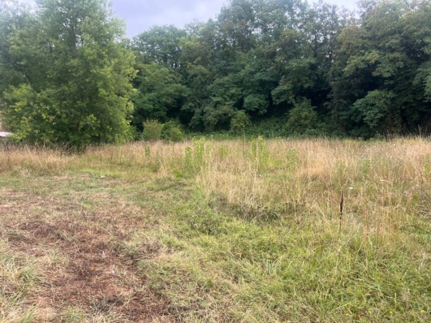 Terrain à bâtir à Bajamont (47480)