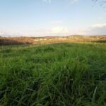 Maison à construire à Antonne-et-Trigonant (24420)