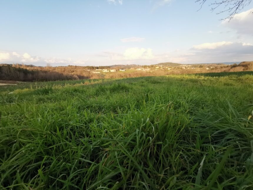 Terrain à bâtir à Antonne-et-Trigonant (24420)