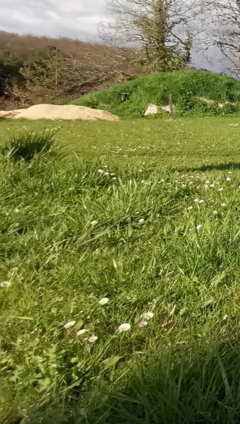 Terrain à bâtir à Antonne-et-Trigonant (24420)