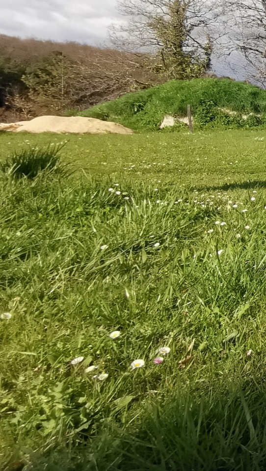 Terrain à bâtir à Antonne-et-Trigonant (24420)