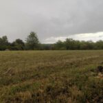 Maison à construire à Périgueux (24000)