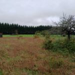 Maison à construire à Tocane-Saint-Apre (24350)